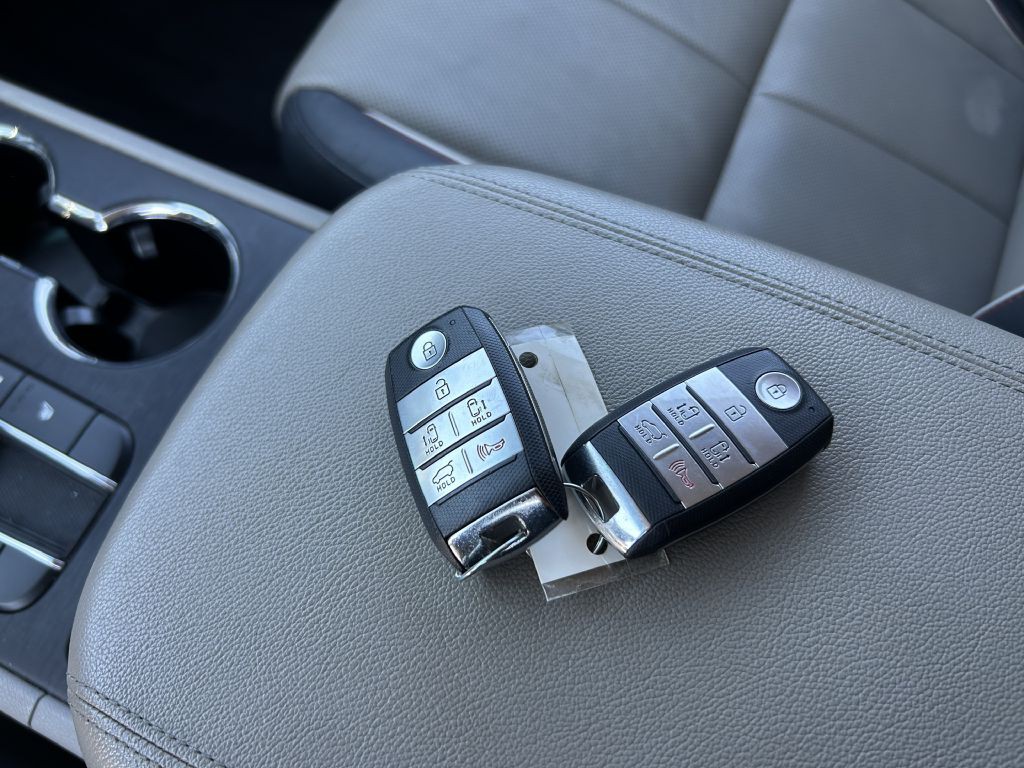 2019 Kia Sedona Image 24