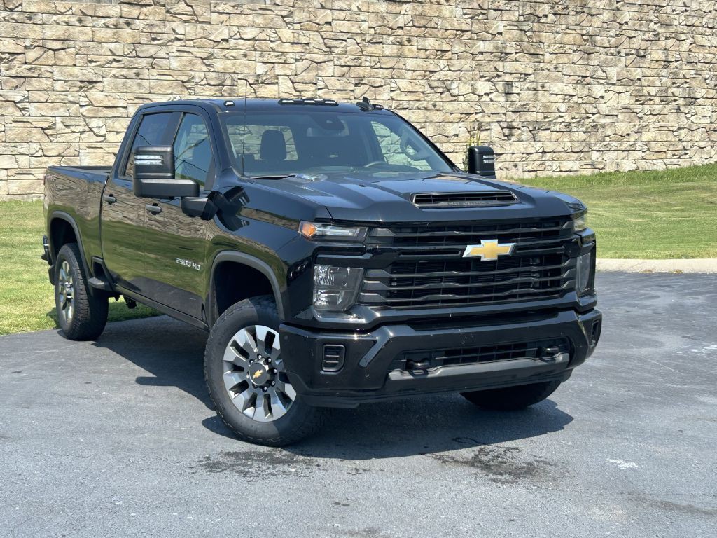 2024 Chevrolet Silverado 1500 Image 1