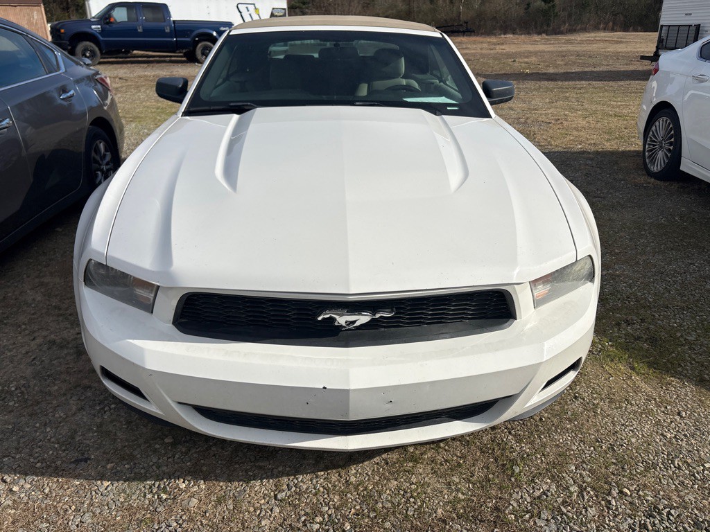 2010 Ford Mustang Image 2