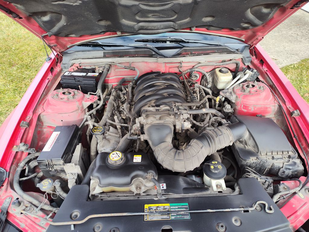 2006 Ford Mustang Image 8