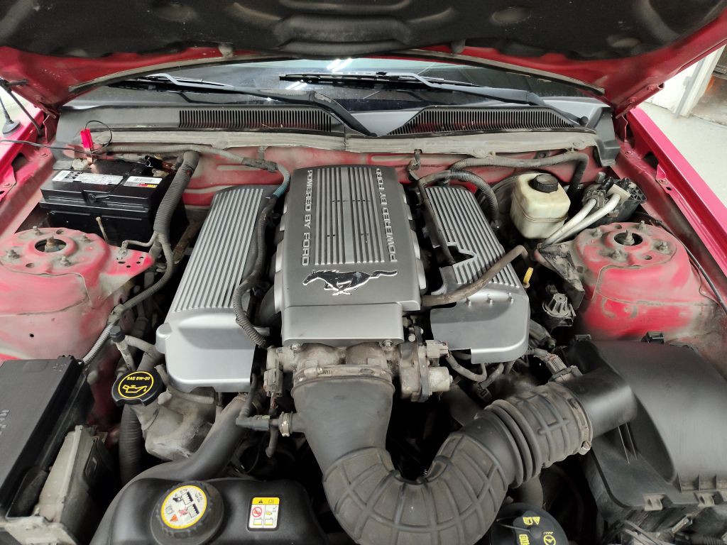 2006 Ford Mustang Image 8