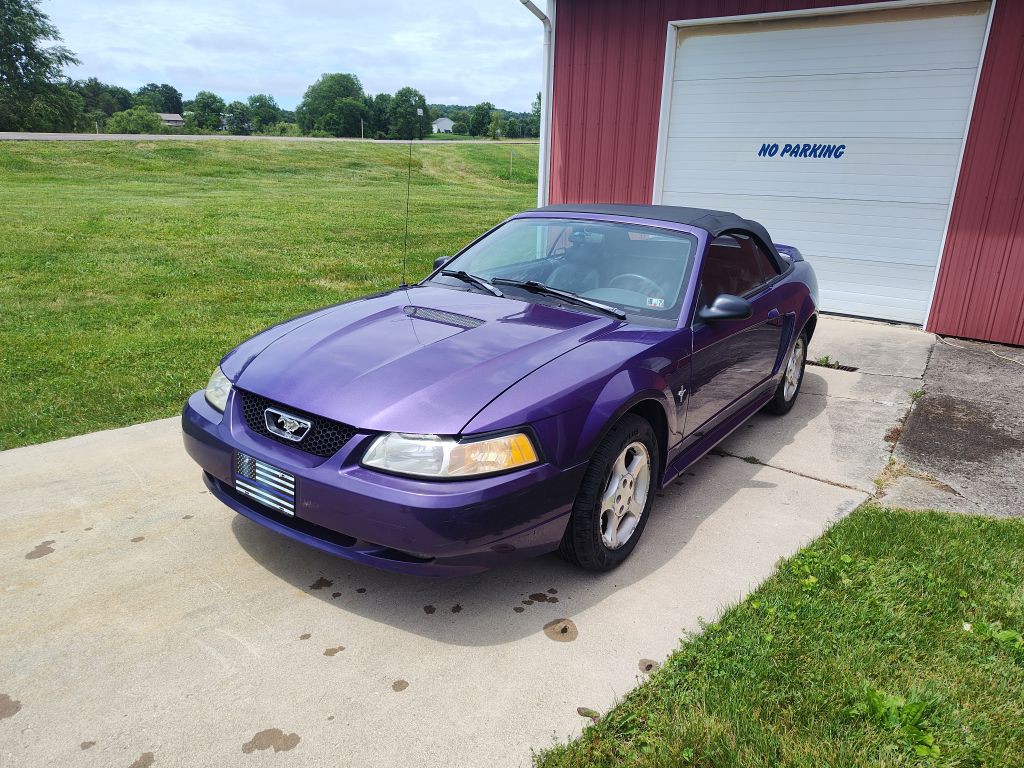 2000 Ford Mustang Image 1