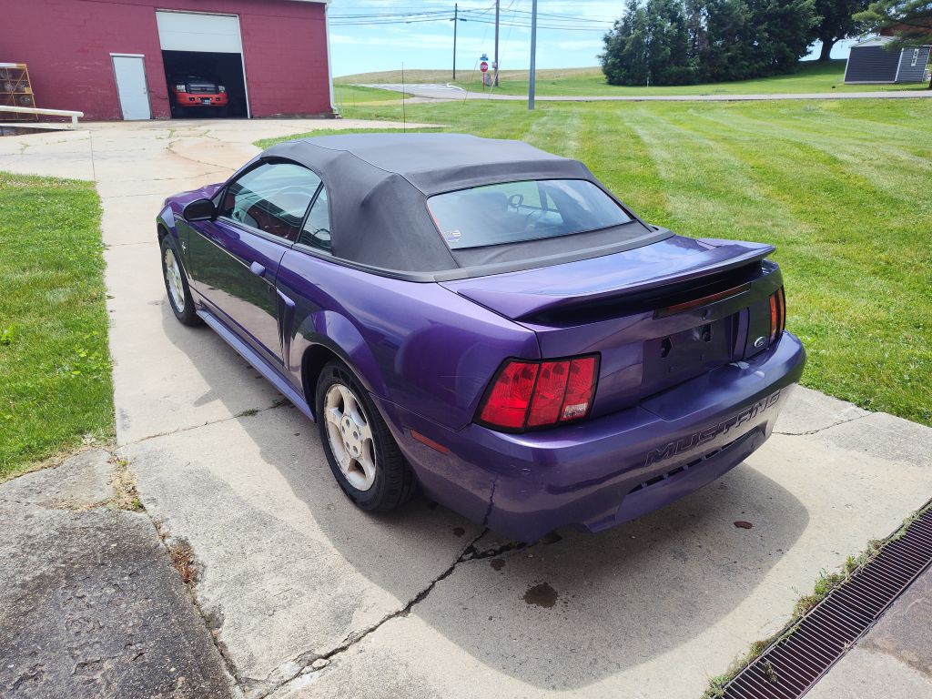 2000 Ford Mustang Image 2