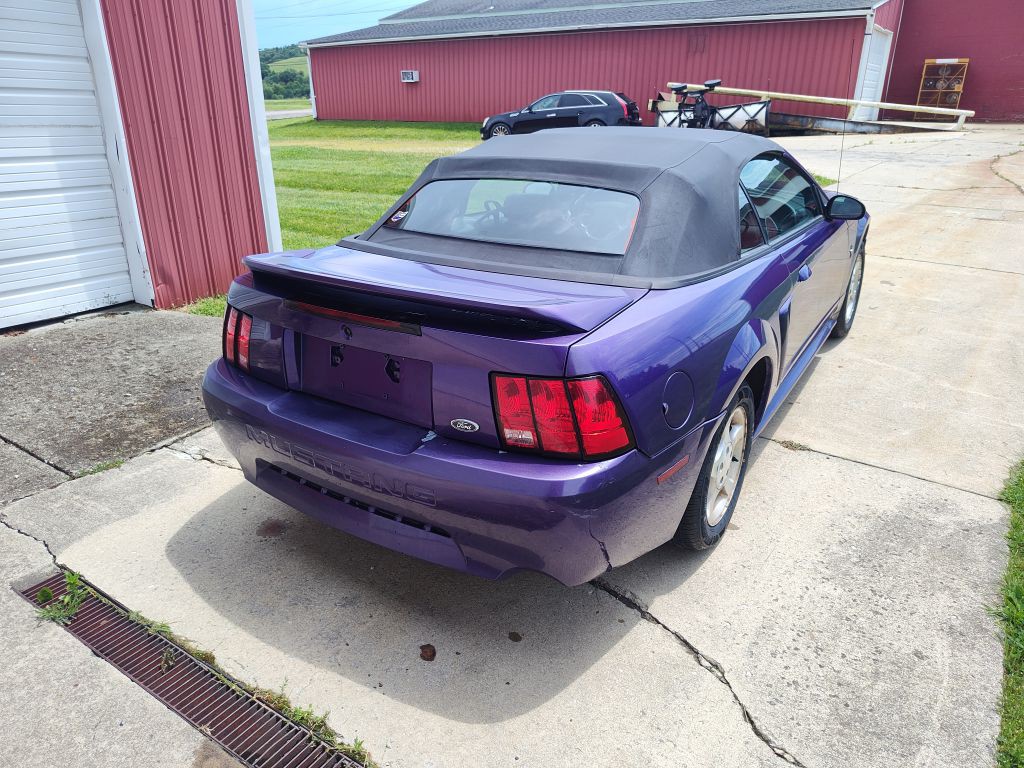 2000 Ford Mustang Image 3