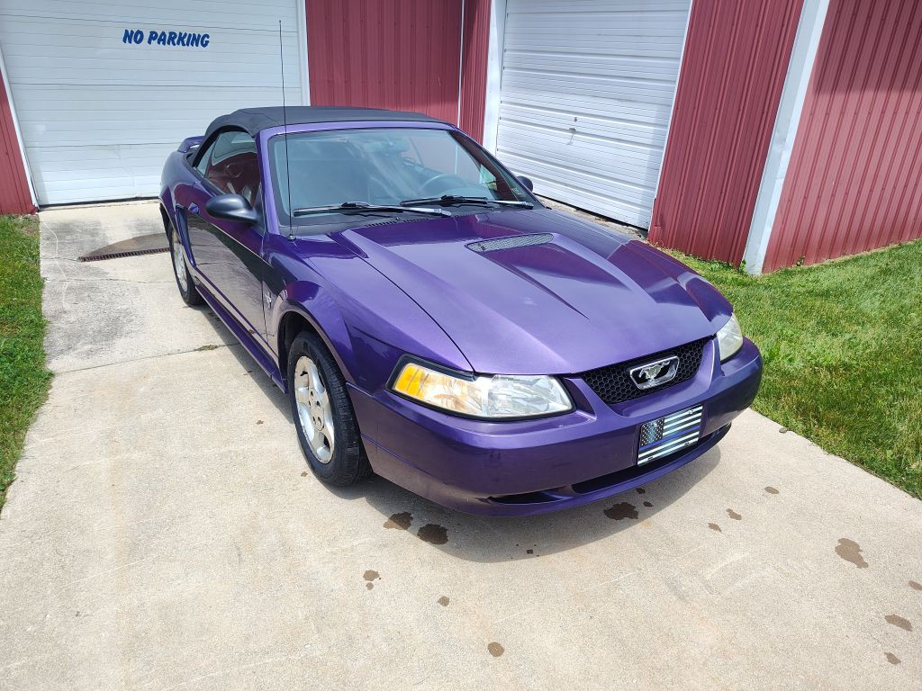 2000 Ford Mustang Image 4