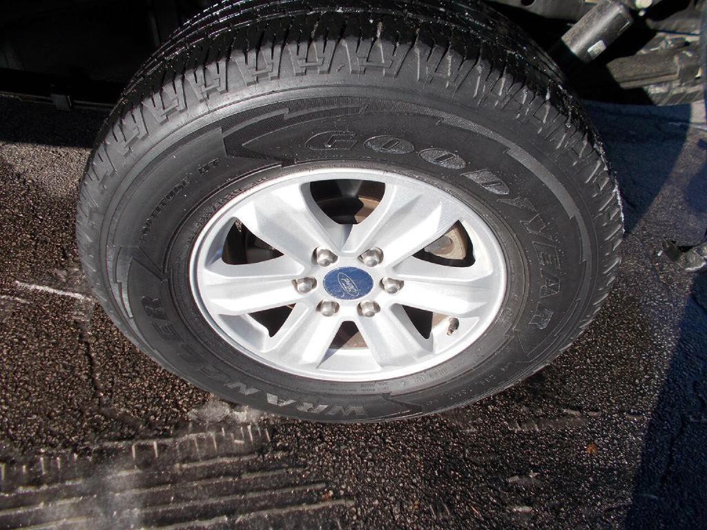 2019 Ford F-150 Image 5