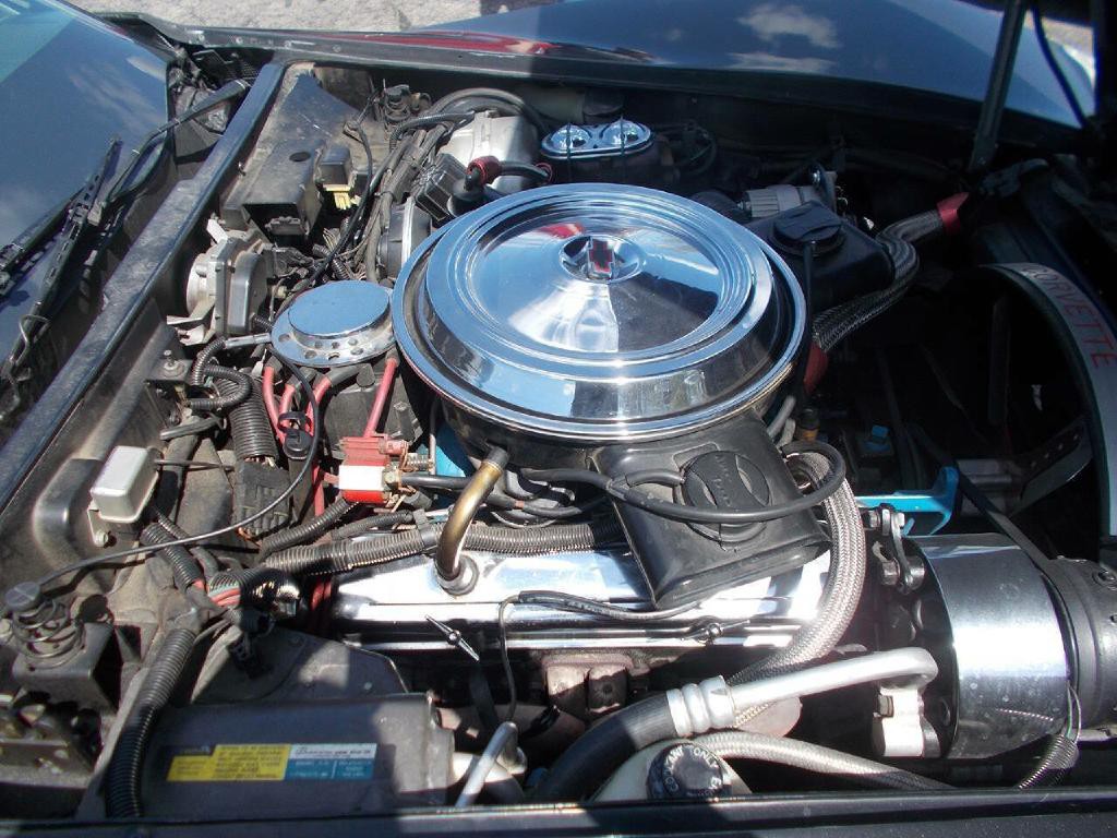 1981 Chevrolet Corvette Image 6