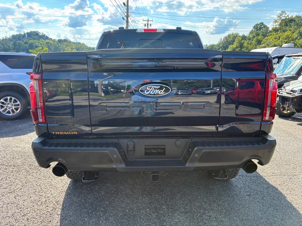 2025 Ford F-150 Image 8