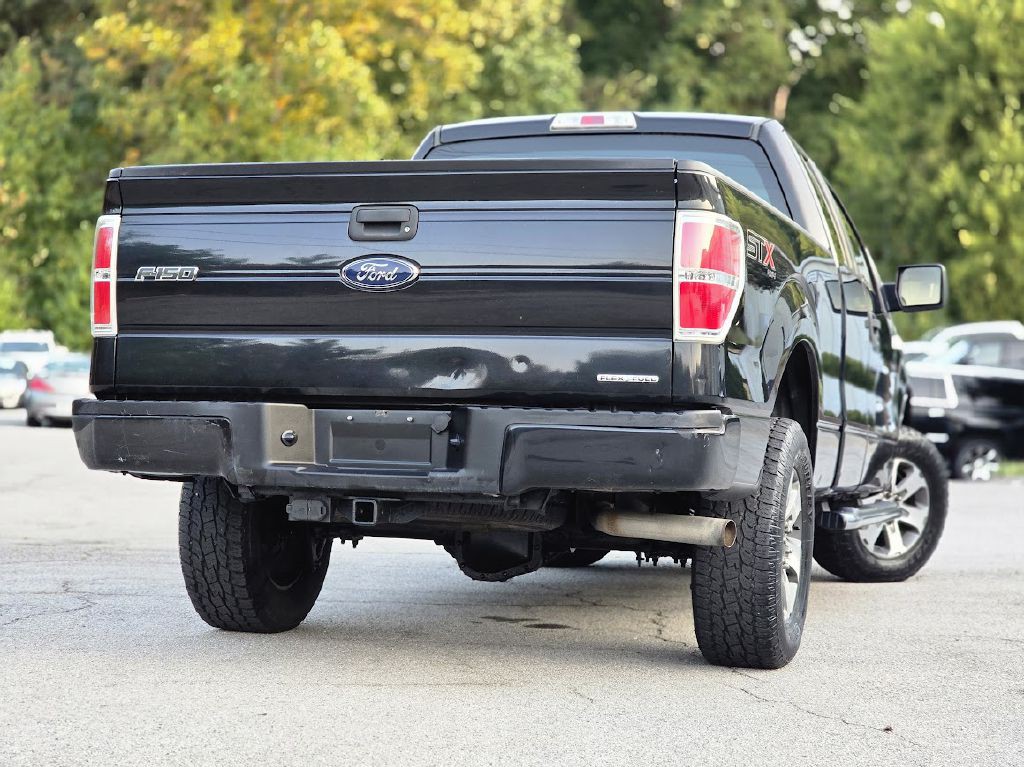 2014 Ford F-150 Image 3