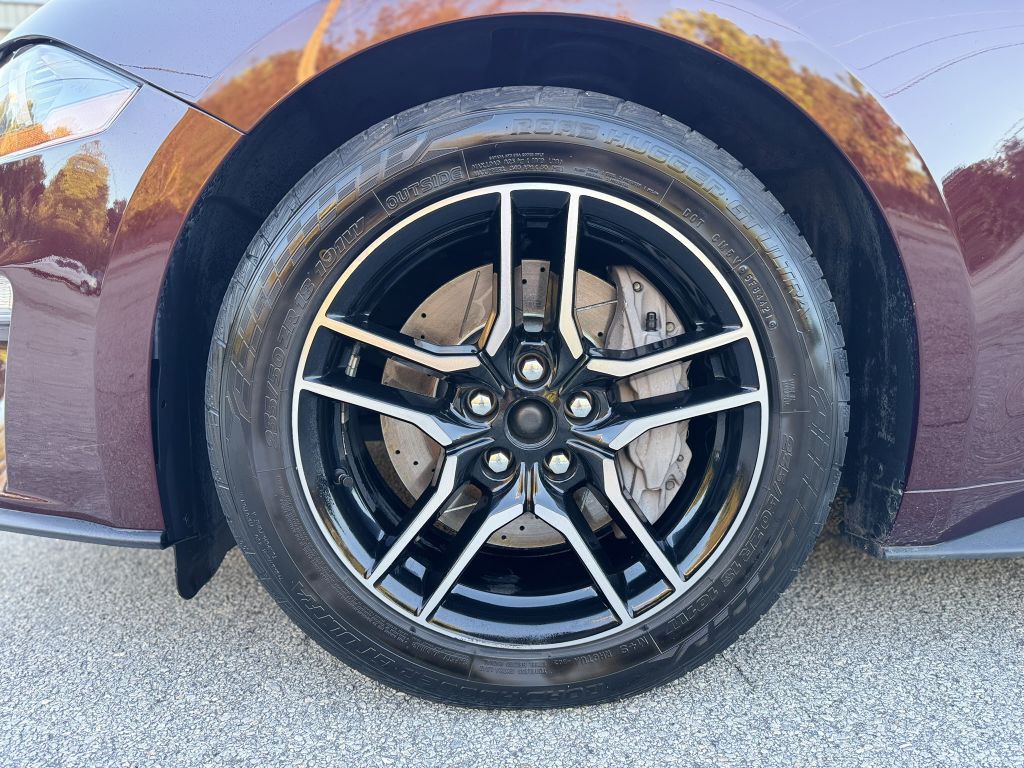 2018 Ford Mustang Image 18