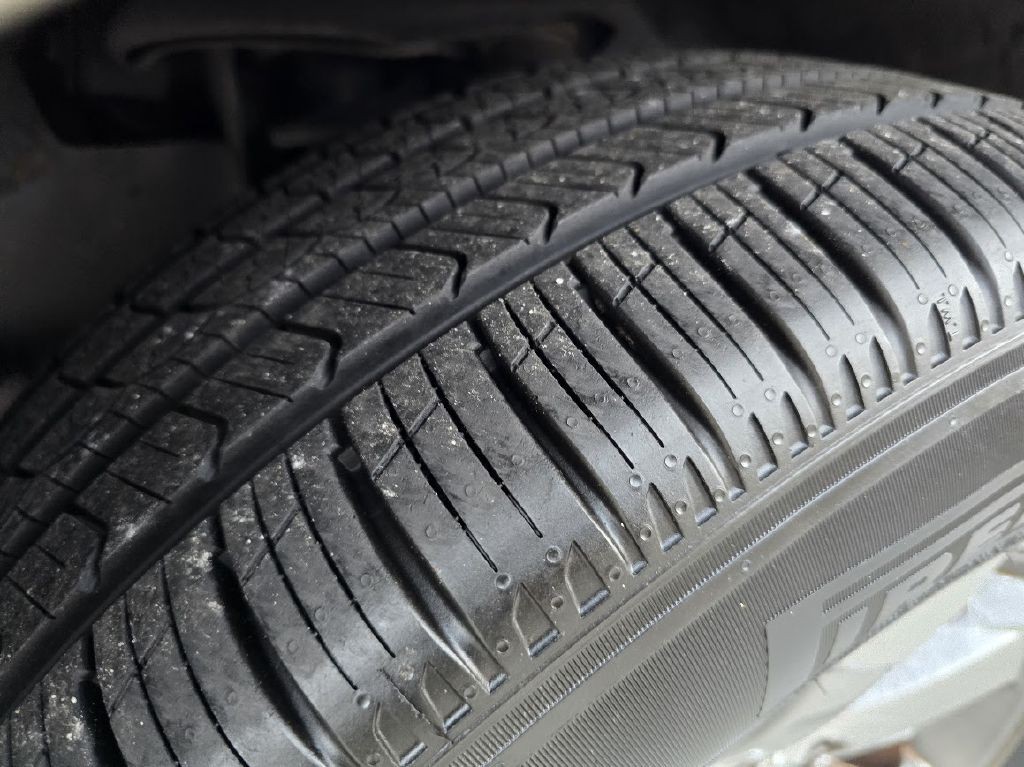 2008 Toyota 4Runner Image 11