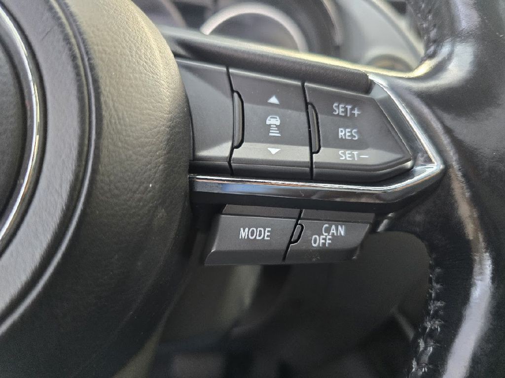 2018 Mazda CX-9 Image 29