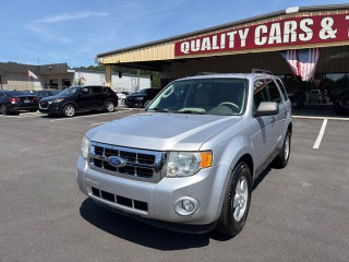 Image for 2011 Ford Escape XLT ID: 7613522