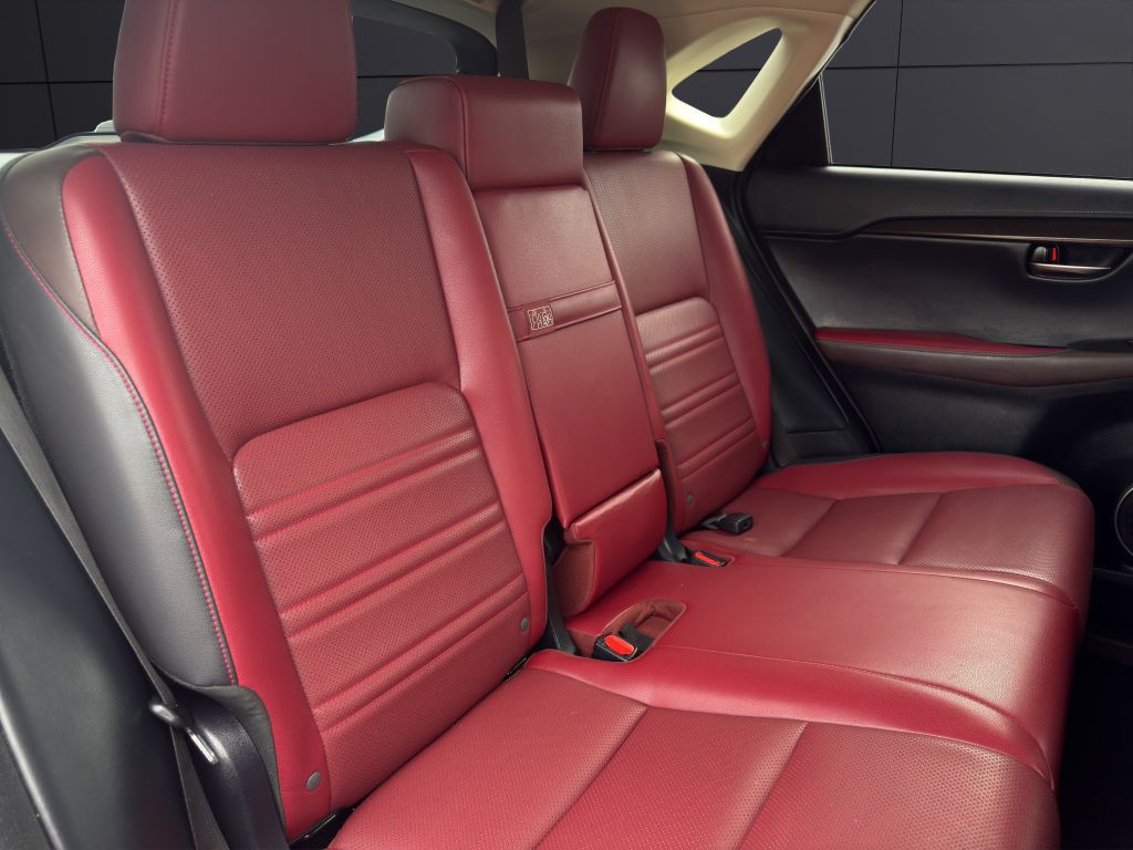2018 Lexus NX Image 21