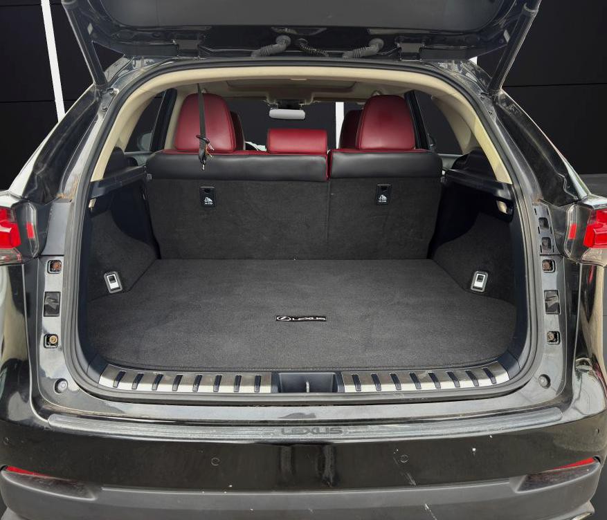 2018 Lexus NX Image 23