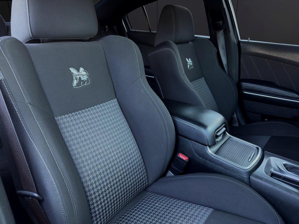 2019 Dodge Charger Image 14