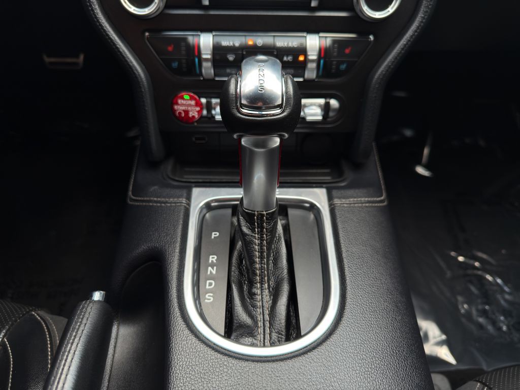 2019 Ford Mustang Image 15