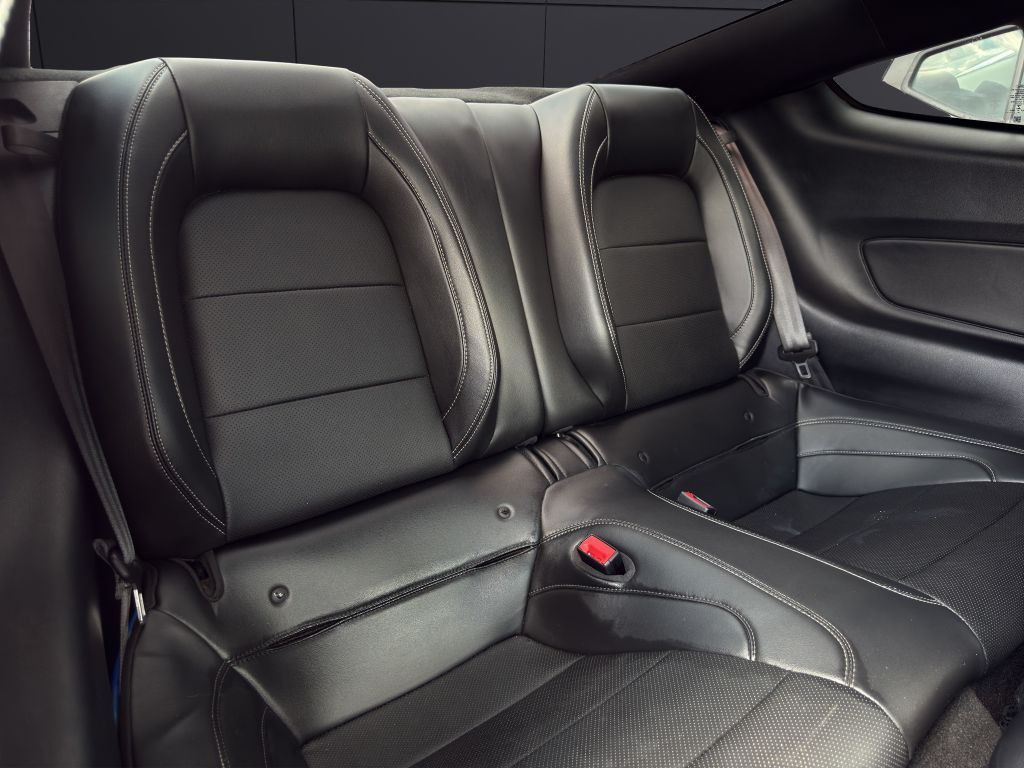 2019 Ford Mustang Image 16