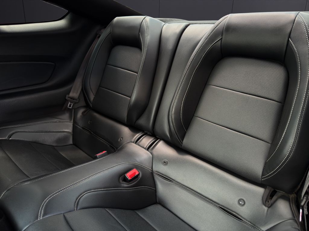 2019 Ford Mustang Image 17