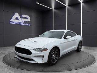 Image for 2021 Ford Mustang Premium Lowest Price Around ID: 6981346