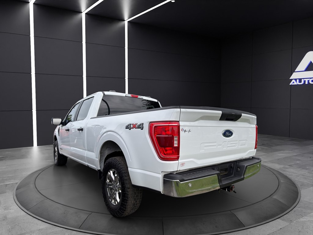 2023 Ford F-150 Image 4
