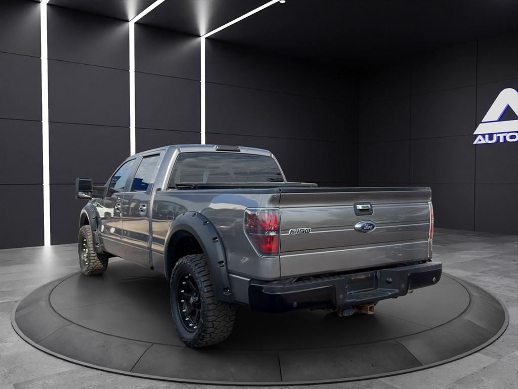 2014 Ford F-150 Image 4