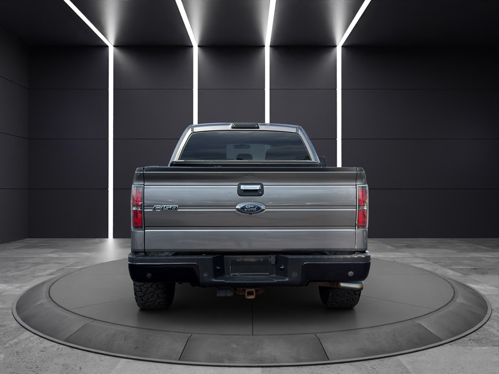 2014 Ford F-150 Image 5