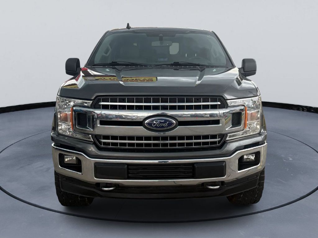 2019 Ford F-150 Image 2