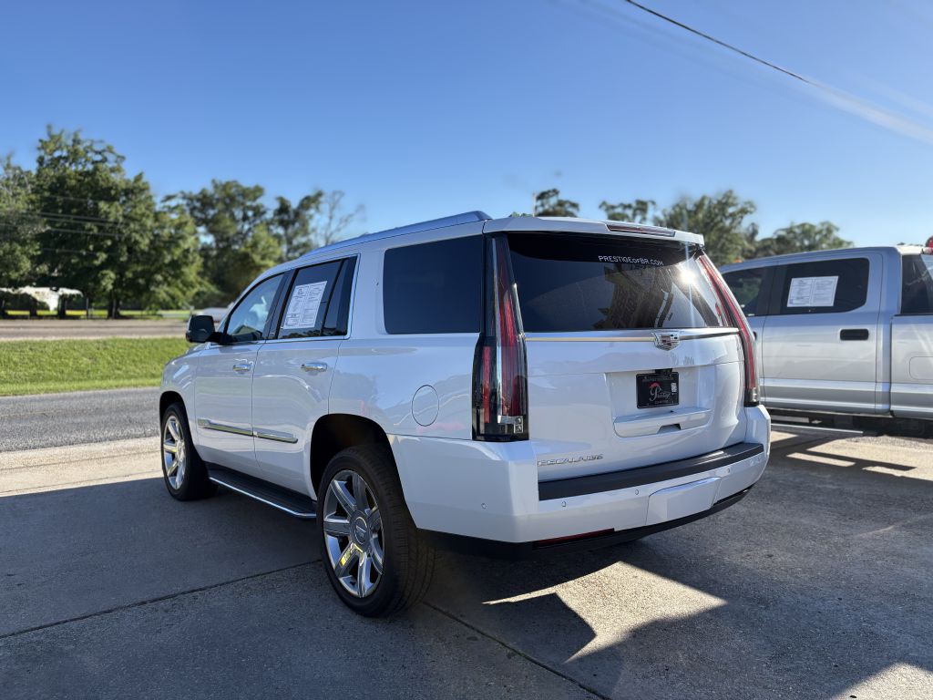 2019 Cadillac Escalade Image 5