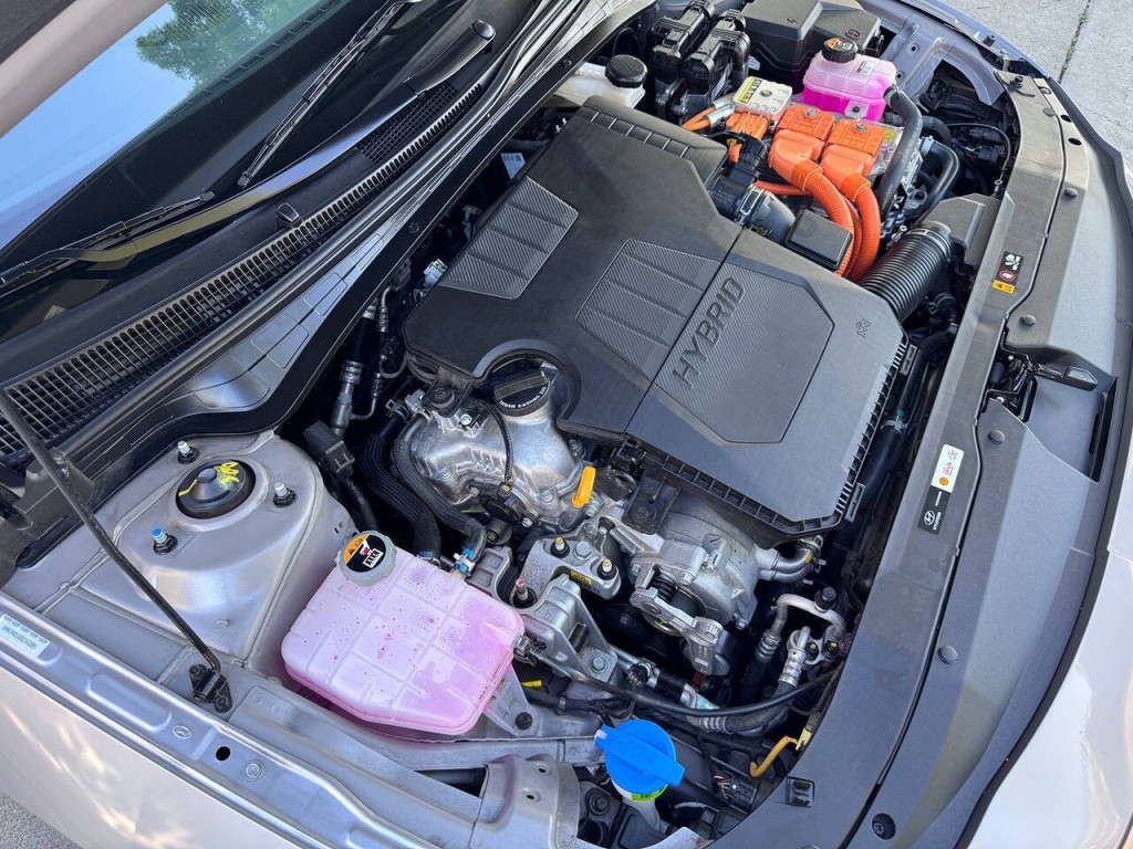 2025 Hyundai Elantra Image 45