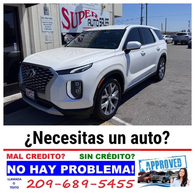 2021 Hyundai Palisade Image 3
