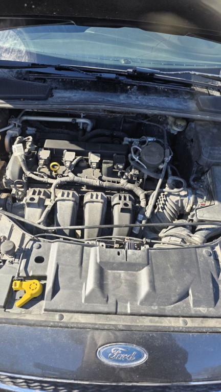 2016 Ford Focus Image 11