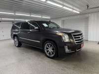 Image for 2015 Cadillac Escalade Esv Premium ID: 7279676
