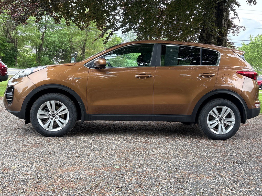 2019 Kia Sportage Image 3