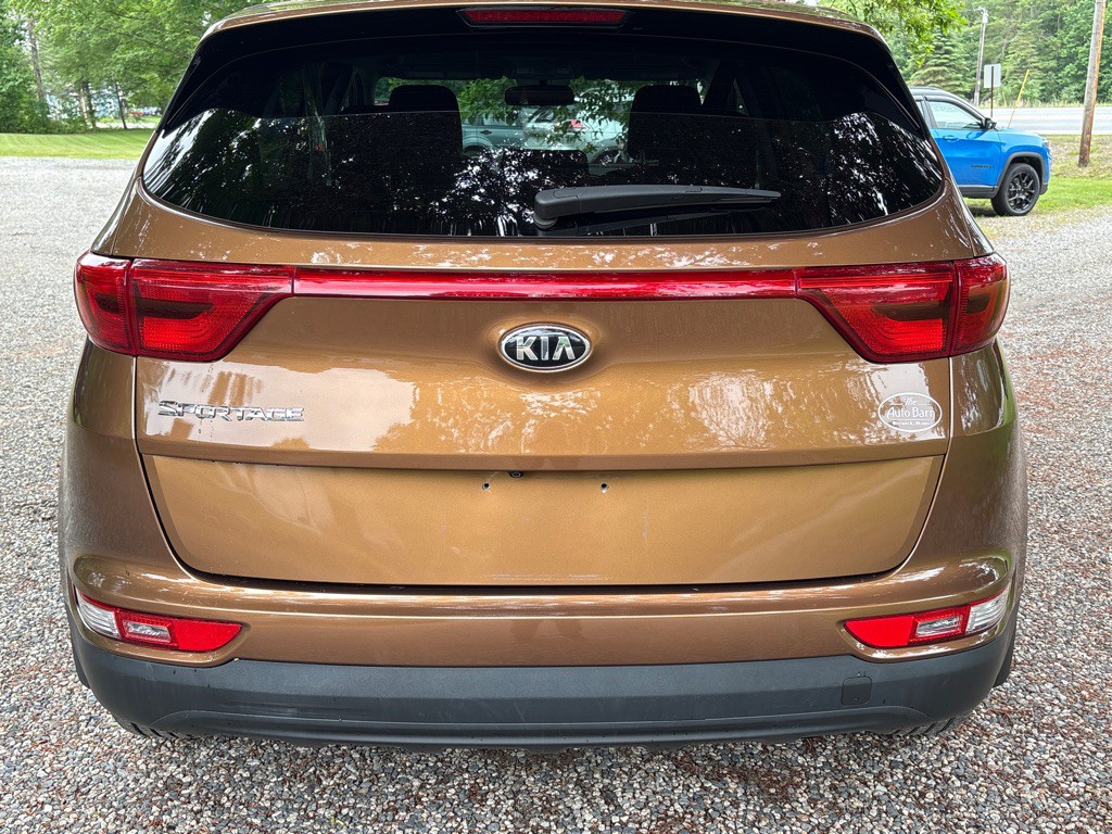 2019 Kia Sportage Image 4