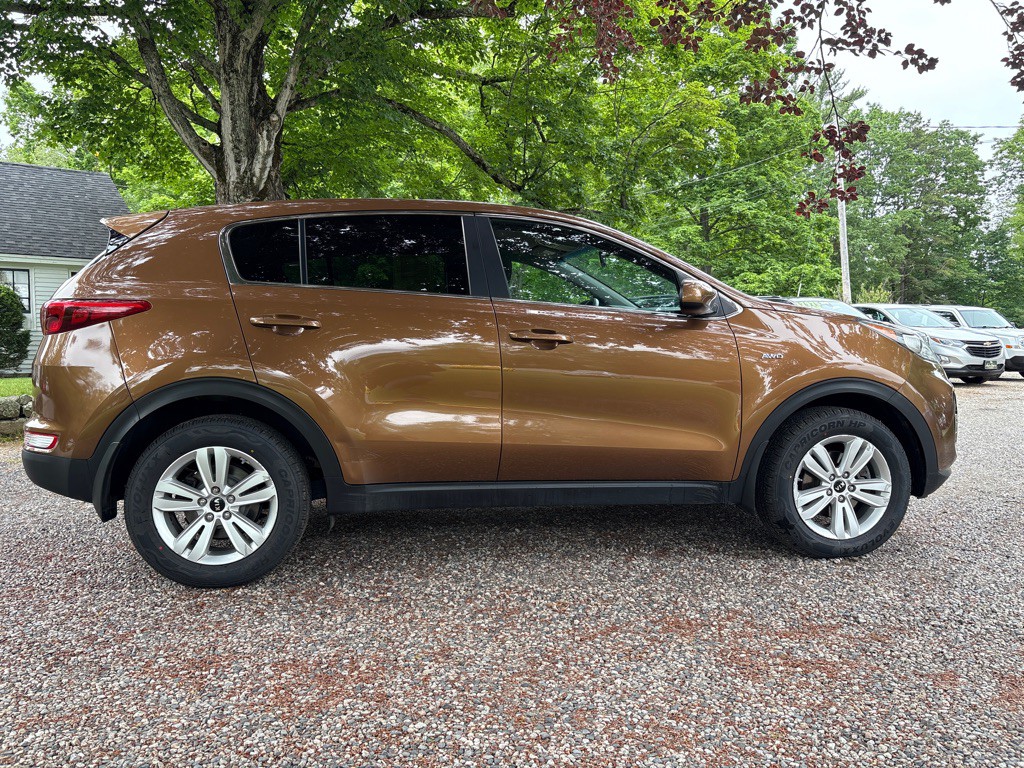 2019 Kia Sportage Image 5