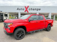 Image for 2022 Chevrolet Silverado 1500 Trail Boss Custom ID: 6749689