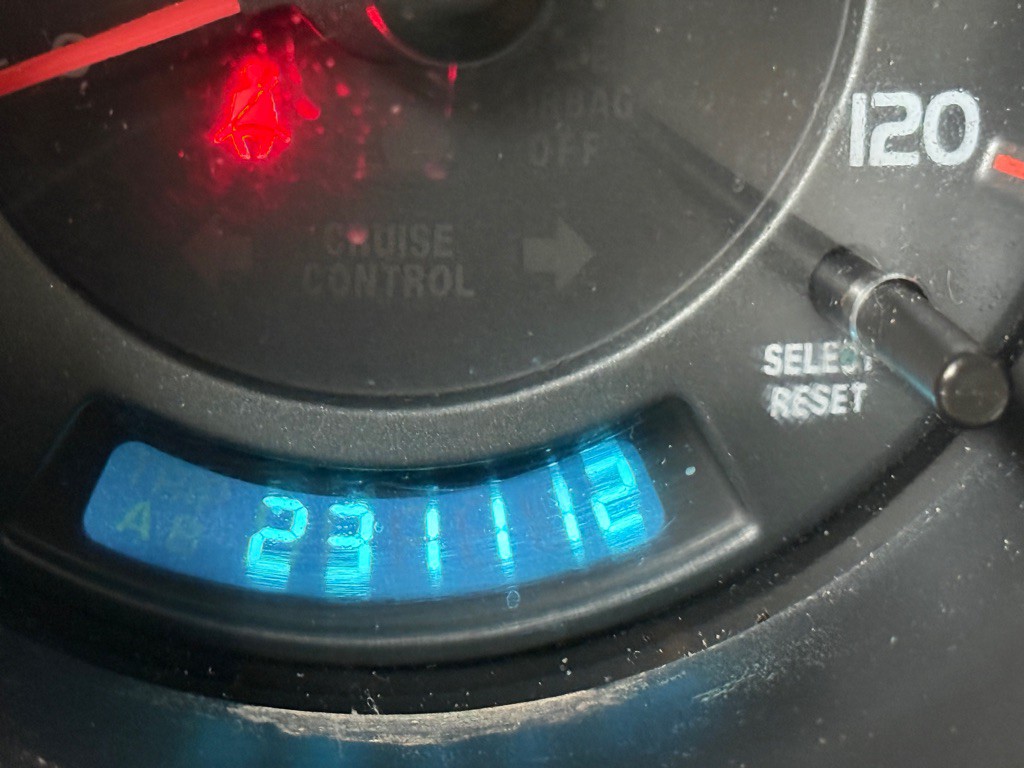 2003 Honda Element Image 7