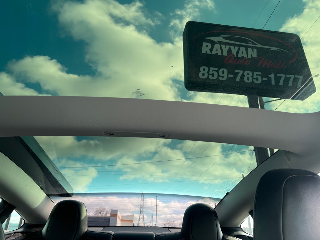 2021 Tesla Model 3 Image 18