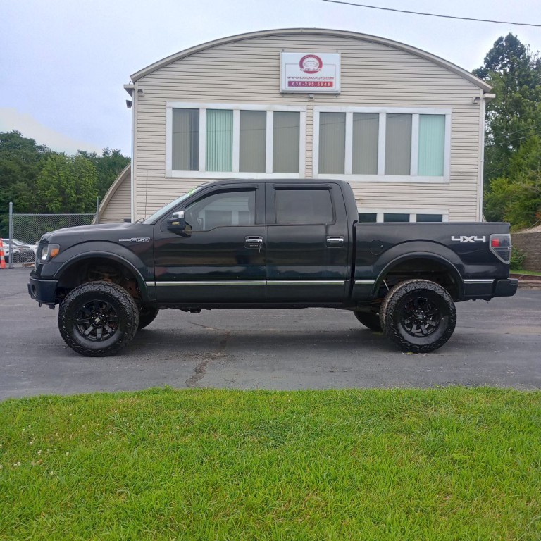 2010 Ford F-150 Image 2