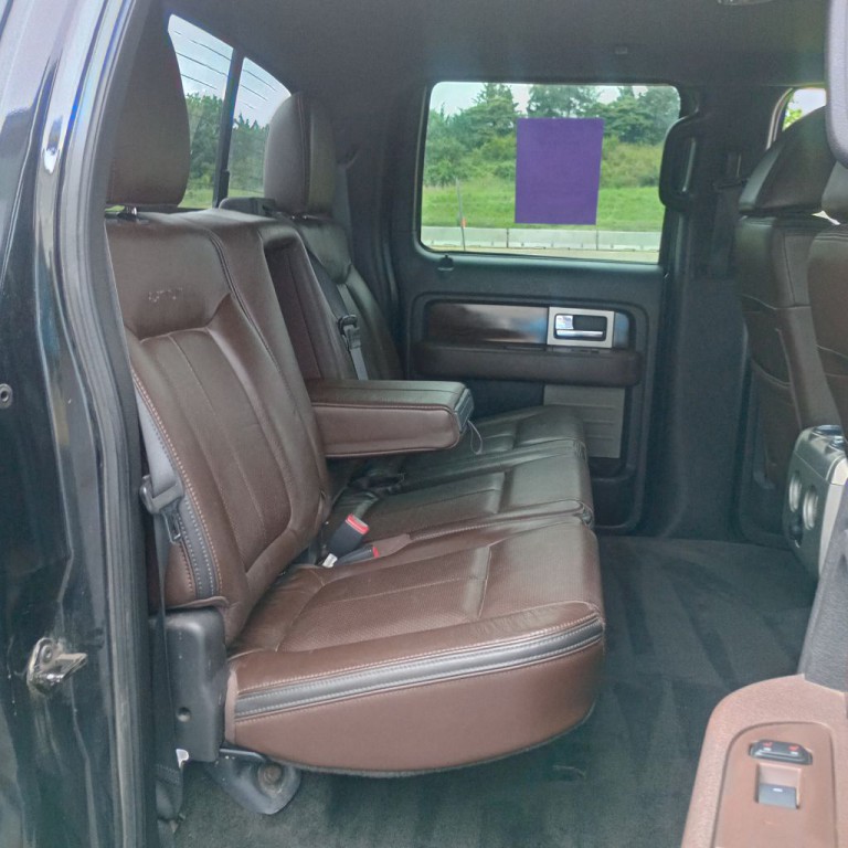 2010 Ford F-150 Image 20