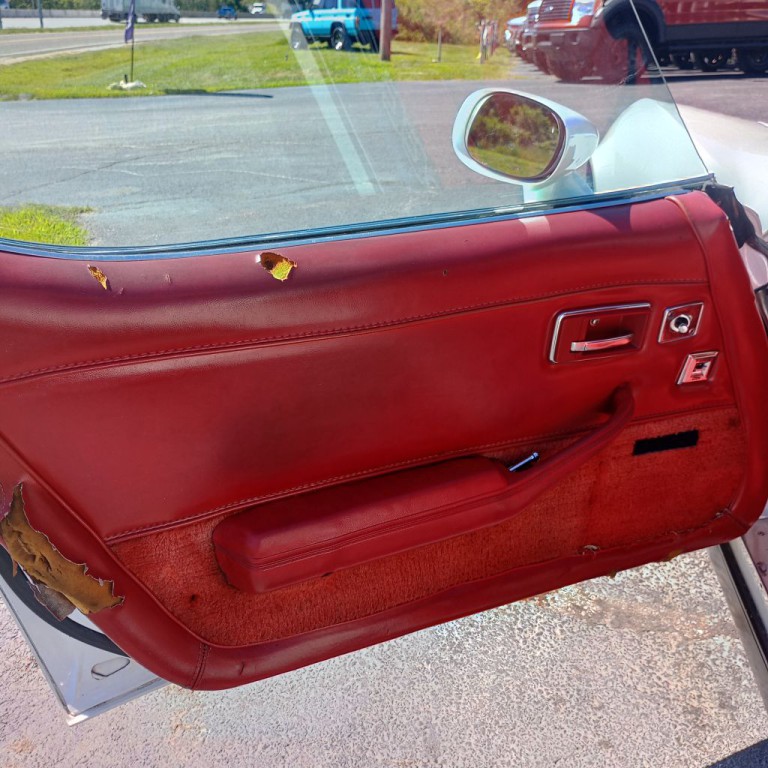 1979 Chevrolet Corvette Image 11