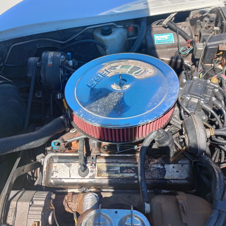 1979 Chevrolet Corvette Image 21