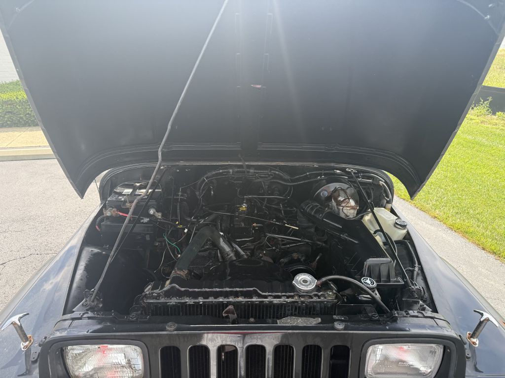 1995 Jeep Wrangler Image 12