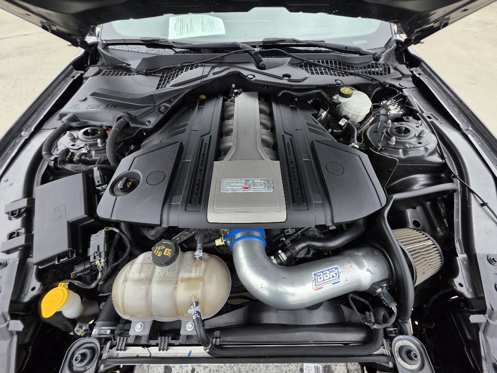 2019 Ford Mustang Image 10