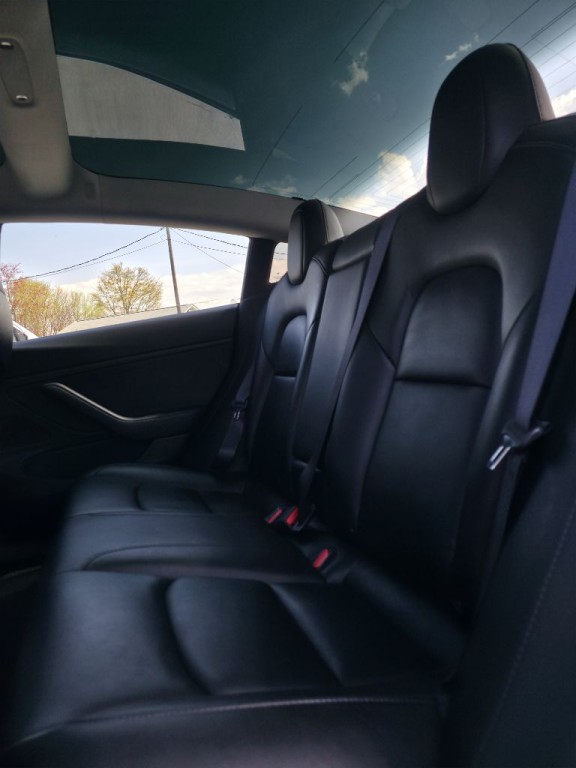 2019 Tesla Model 3 Image 6
