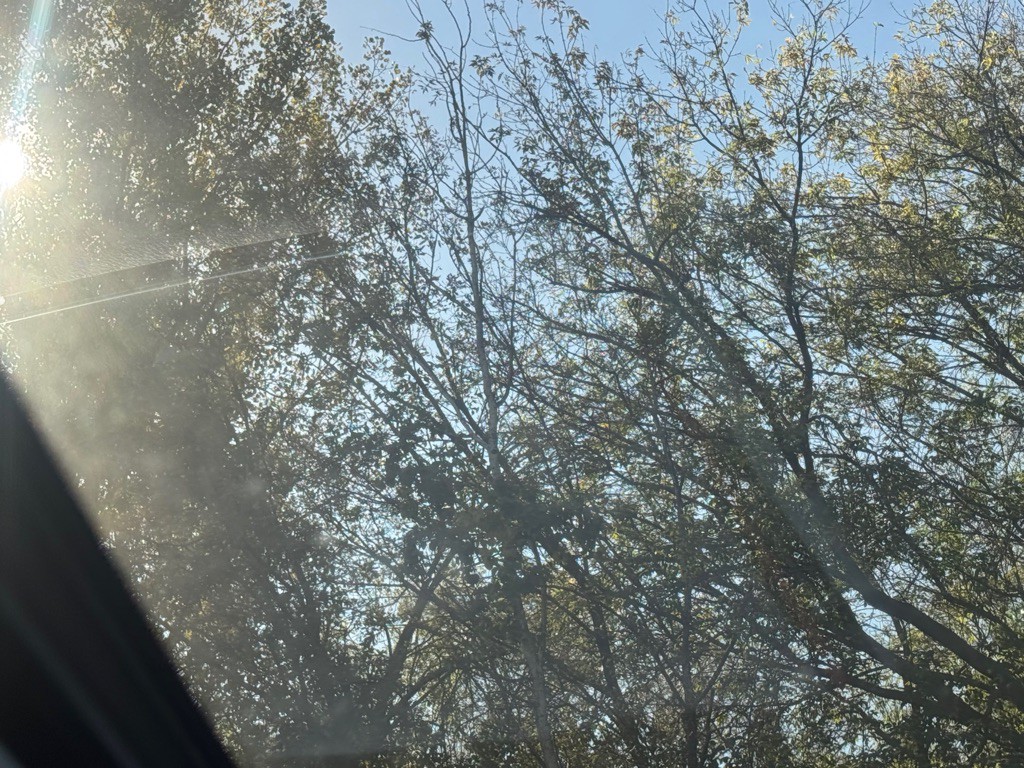 2014 Toyota Rav4 Image 5