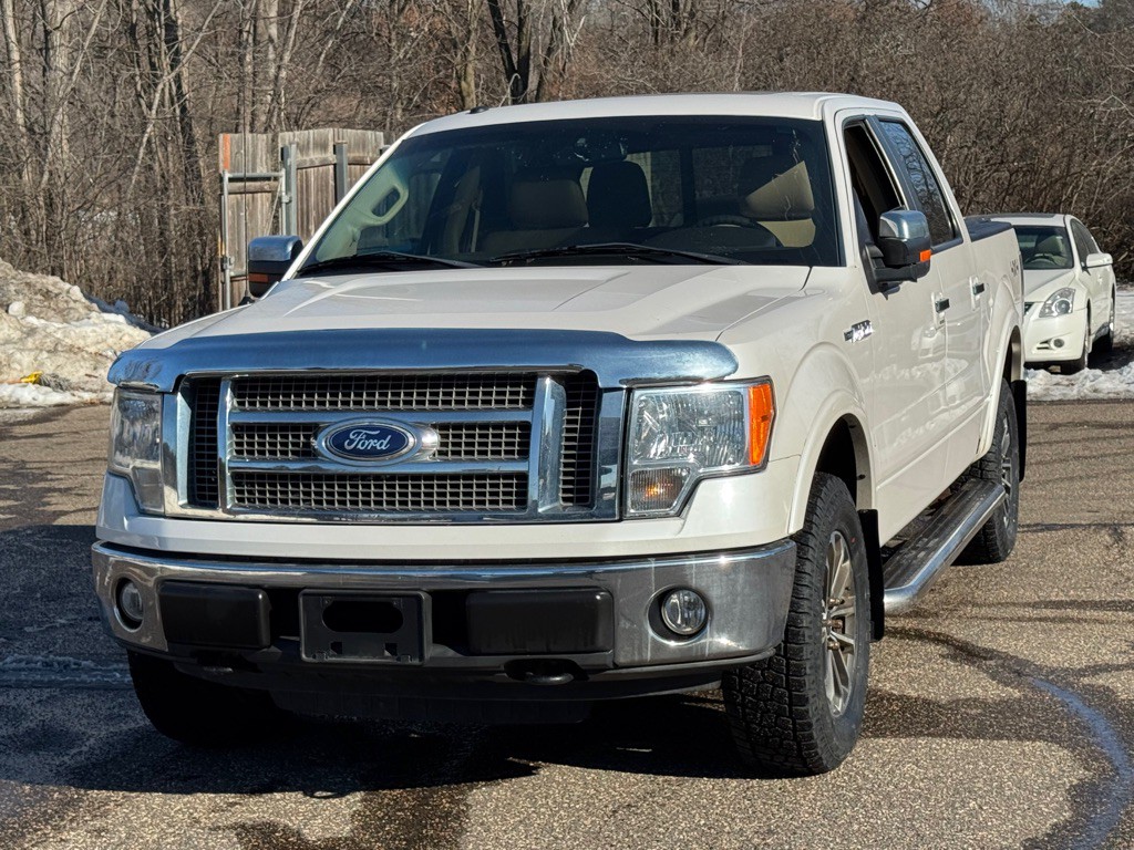 2010 Ford F-150 Image 2