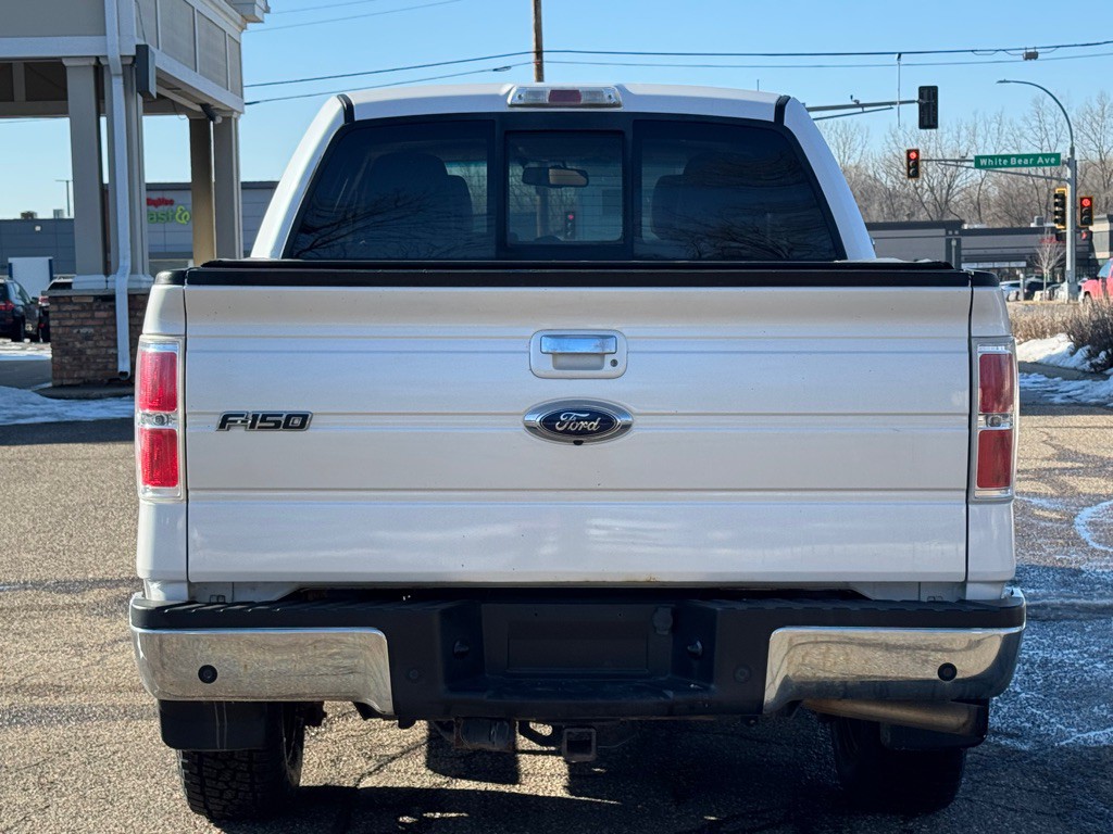 2010 Ford F-150 Image 4