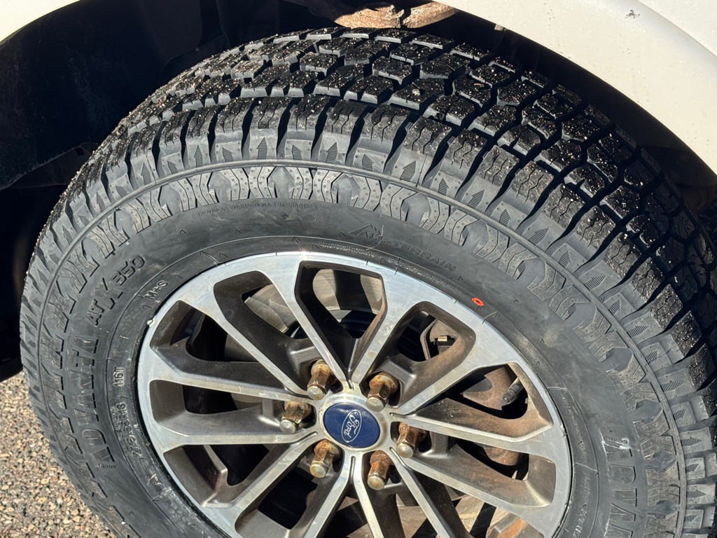 2010 Ford F-150 Image 8